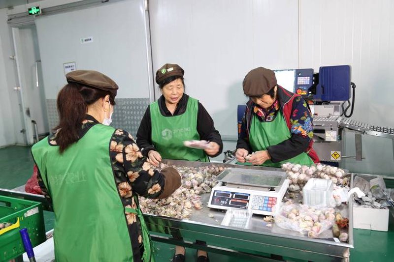精选甜品食材,让美味从指尖触手可及